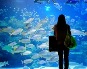 رحلات سياحية