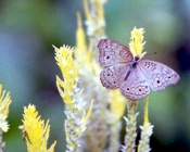 رحلات سياحية