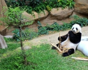 رحلات سياحية