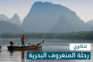 الاماكن السياحية في لنكاوي, رحلة المانغروف البحرية لنكاوي