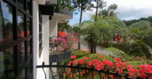 Strawberry Park Cameron Highland Resort