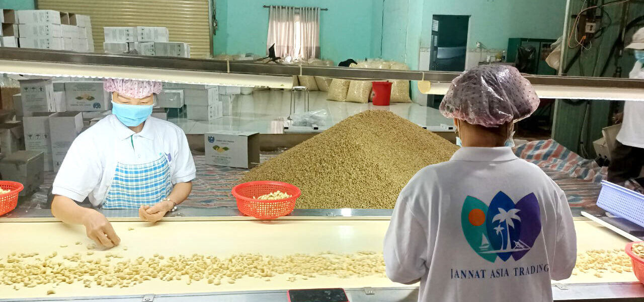 Raw cashews bulk supplier in vietnam