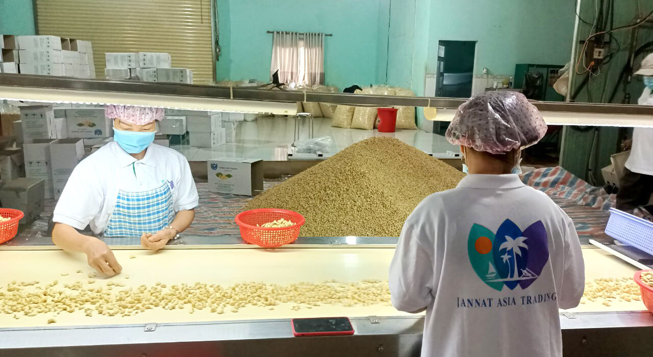 Raw cashews bulk supplier in vietnam